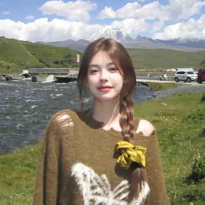 土狼之旅 海报